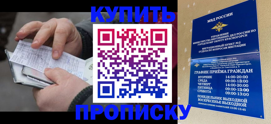 временная регистрация недорого в Петропавловске-Камчатском